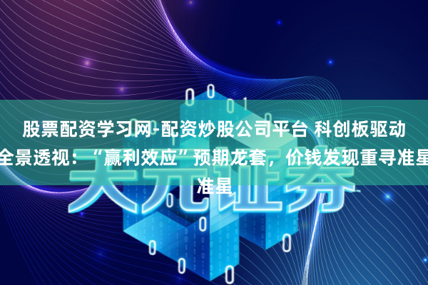 股票配资学习网-配资炒股公司平台 科创板驱动全景透视：“赢利效应”预期龙套，价钱发现重寻准星