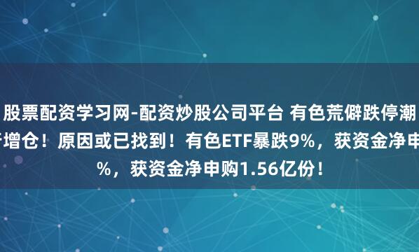 股票配资学习网-配资炒股公司平台 有色荒僻跌停潮，资金却逆行增仓！原因或已找到！有色ETF暴跌9%，获资金净申购1.56亿份！