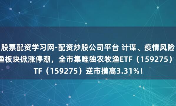 股票配资学习网-配资炒股公司平台 计谋、疫情风险双重催化！农牧渔板块掀涨停潮，全市集唯独农牧渔ETF（159275）逆市摸高3.31%！